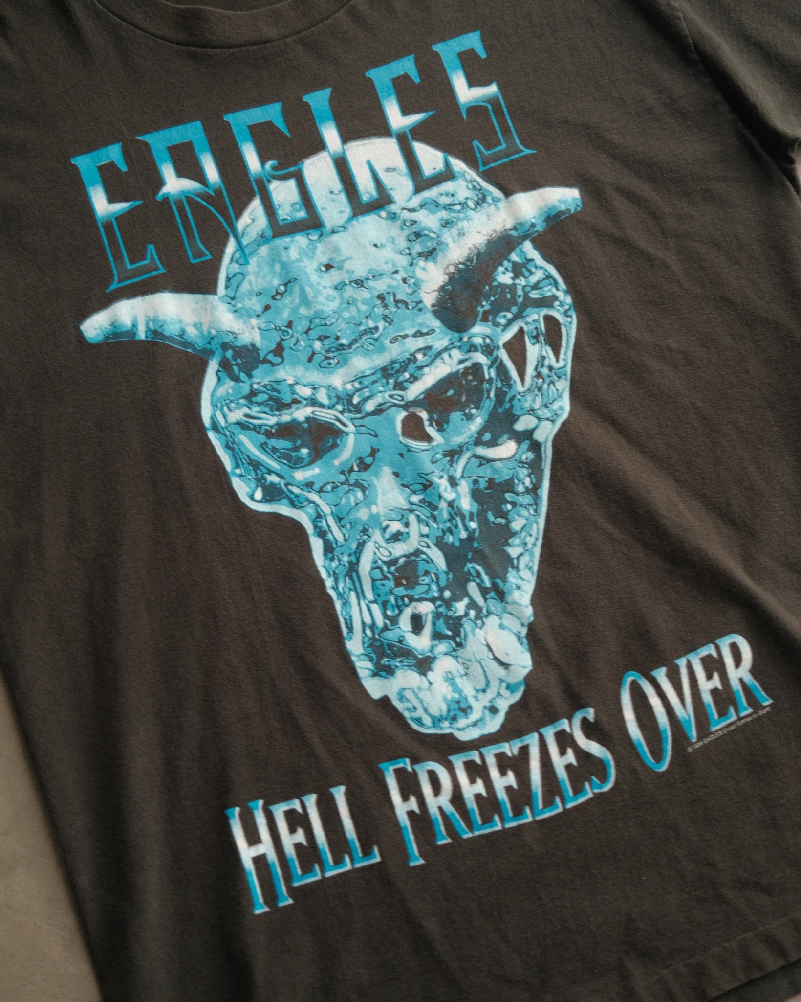 VINTAGE 1994 Eagles “Hell Freezes Over ” Tour T-Shirt