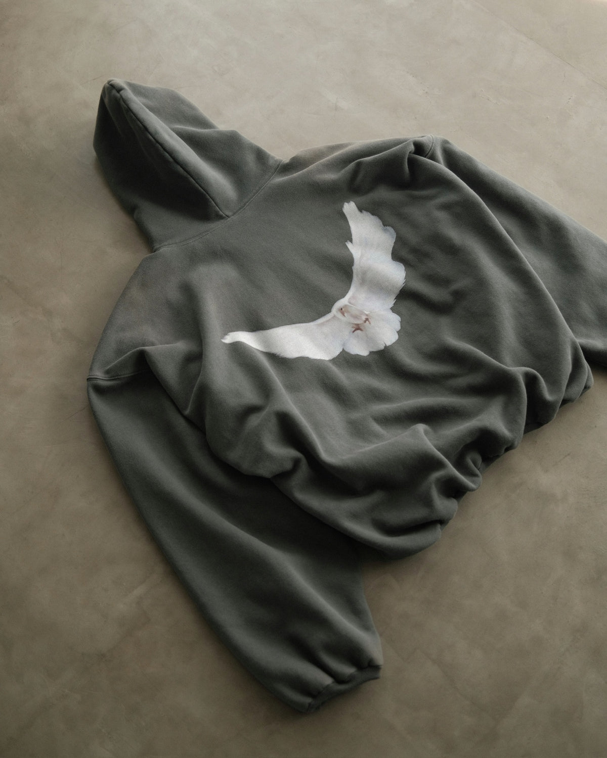 YEEZY Gap Hoodie